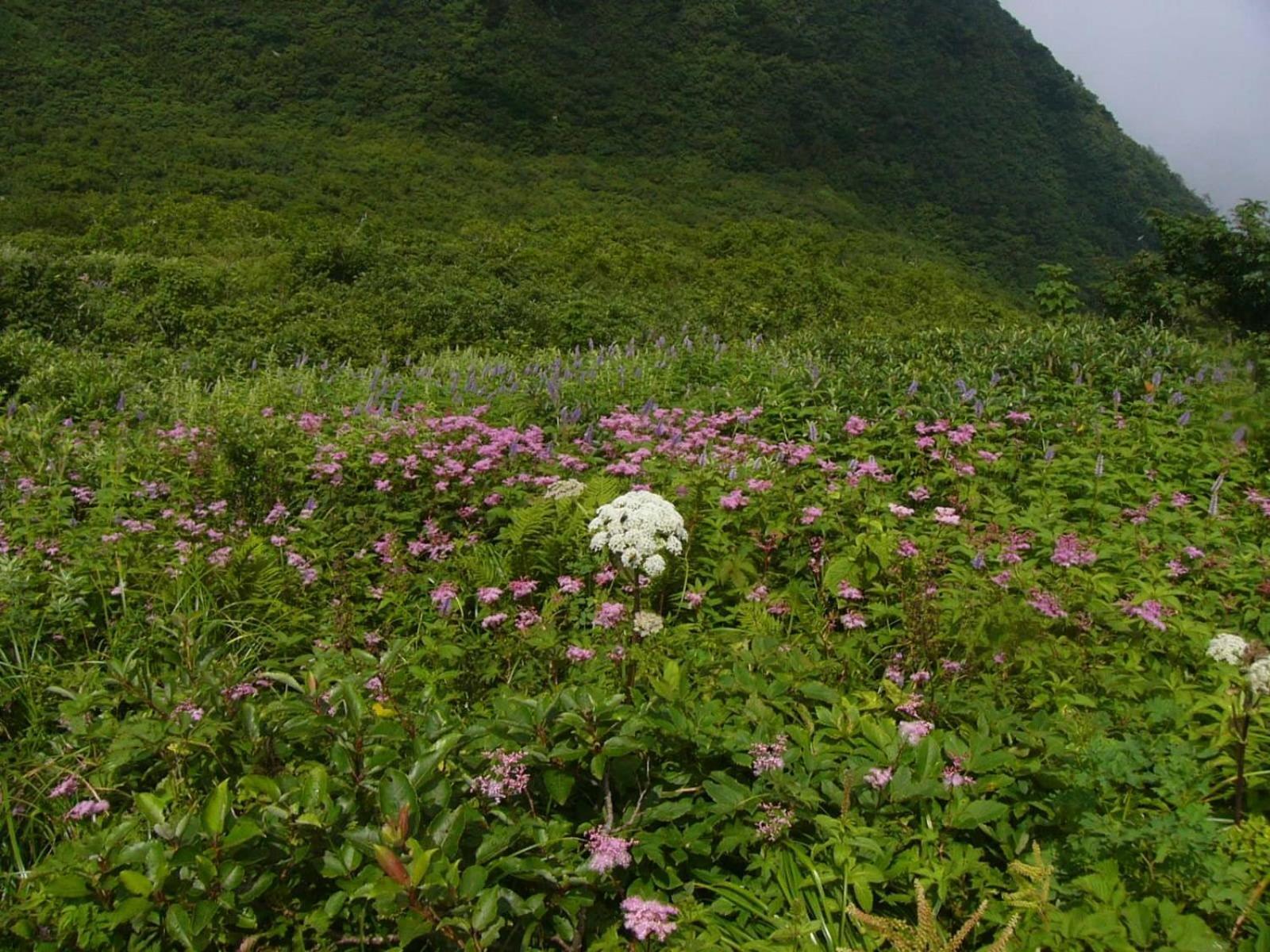 Shukubo Kansho-In Temple Sanrakuso Daisen (Tottori) Exterior foto